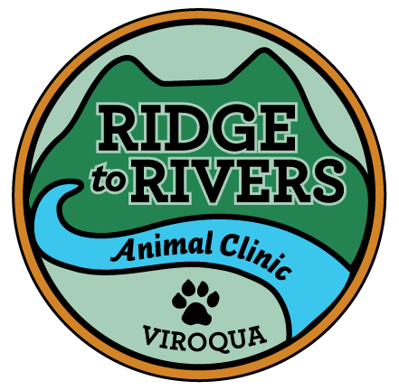 Ridge to Rivers Animal Clinic – Care from Head to Tail